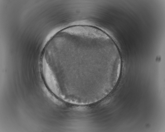 X0000112350998200909241057