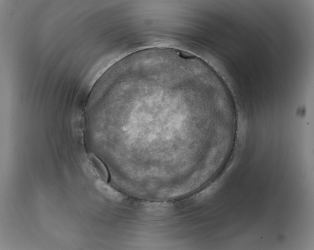 X0000112351001200909241057