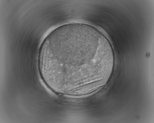 X0000112351005200909241057