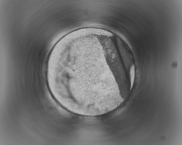 X0000112351007200909241057