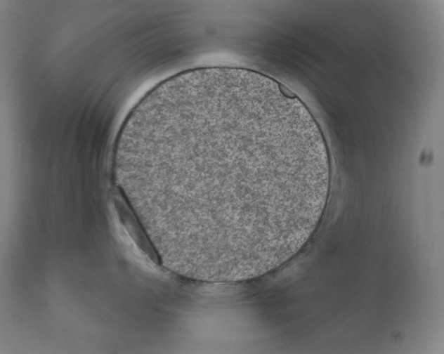 X0000112351008200909241057