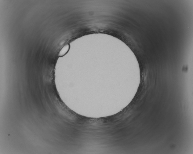 X0000112351012200909241056