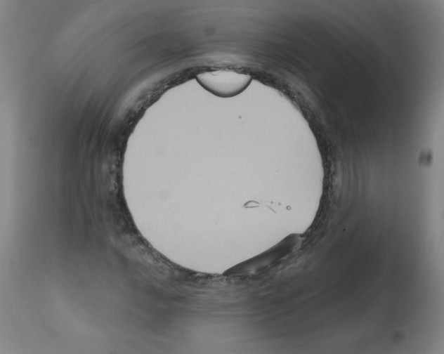 X0000112351016200909241056