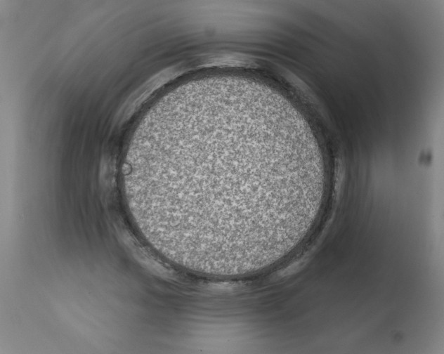 X0000112351017200909241056