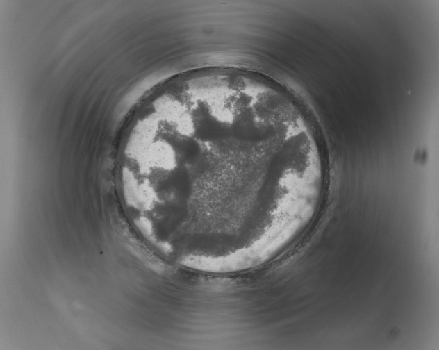 X0000112351019200909241056