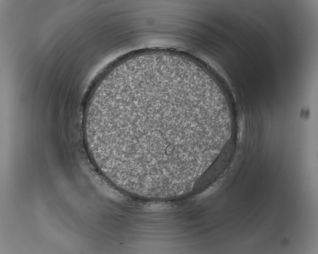 X0000112351021200909241057