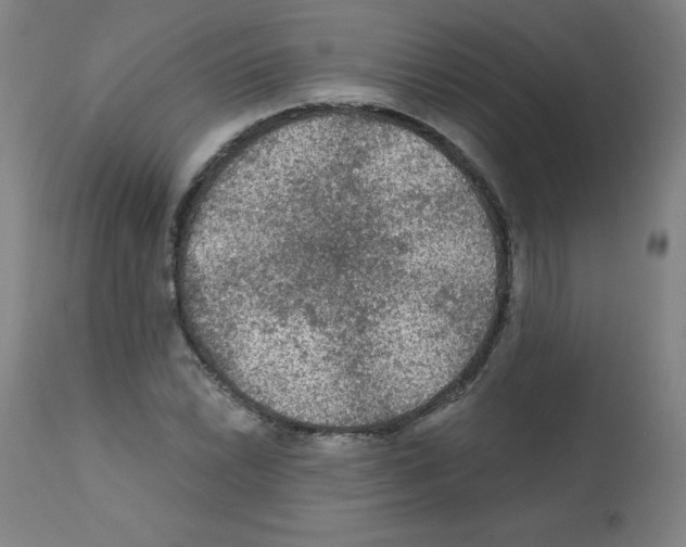 X0000112351022200909241057