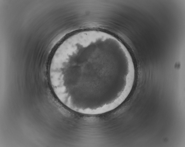 X0000112351023200909241057