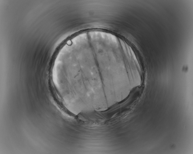 X0000112351024200909241057