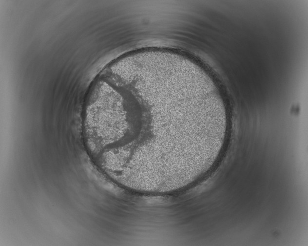 X0000112351025200909241057