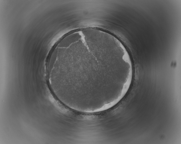 X0000112351031200909241057