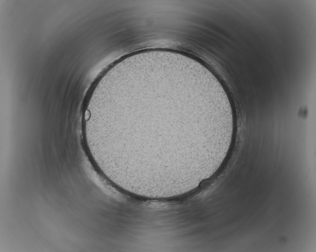 X0000112351034200909241057