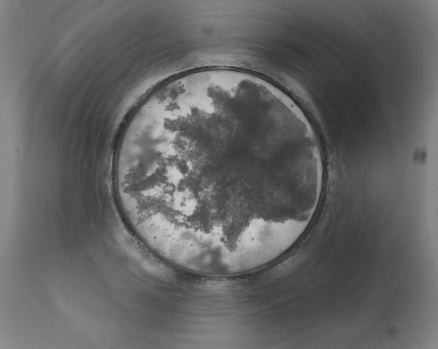 X0000112351035200909241057