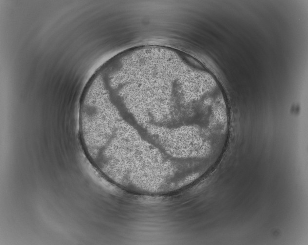 X0000112351036200909241057