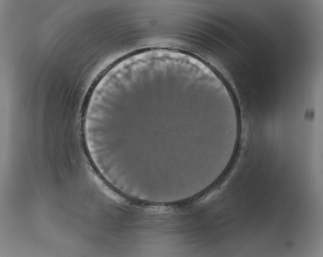 X0000112351037200909241057