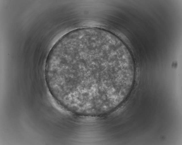 X0000112351039200909241057