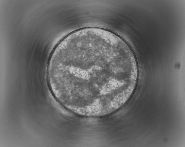 X0000112351040200909241057