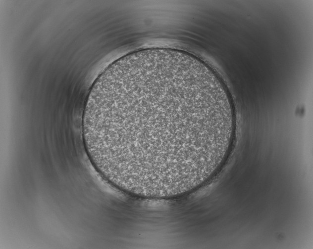 X0000112351041200909241057