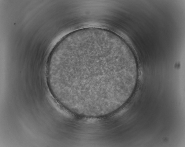 X0000112351043200909241057