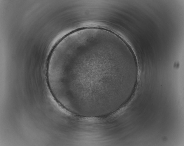 X0000112351045200909241057