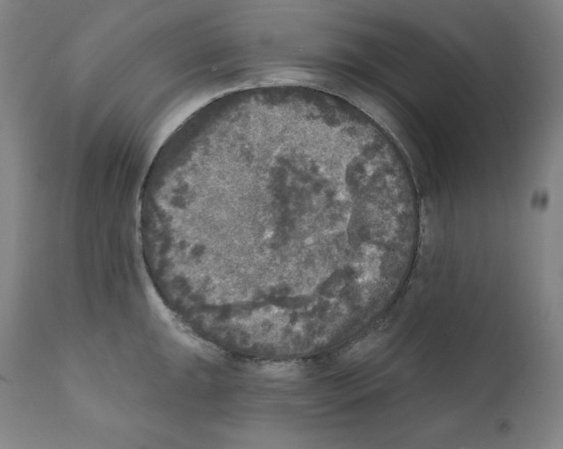 X0000112351047200909241057