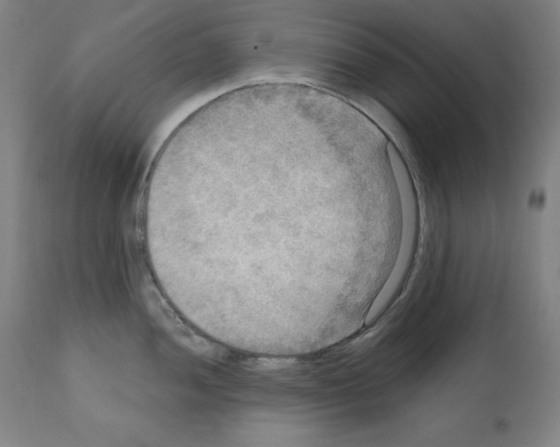 X0000112351052200909241057