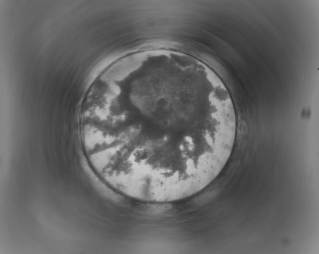 X0000112351055200909241057