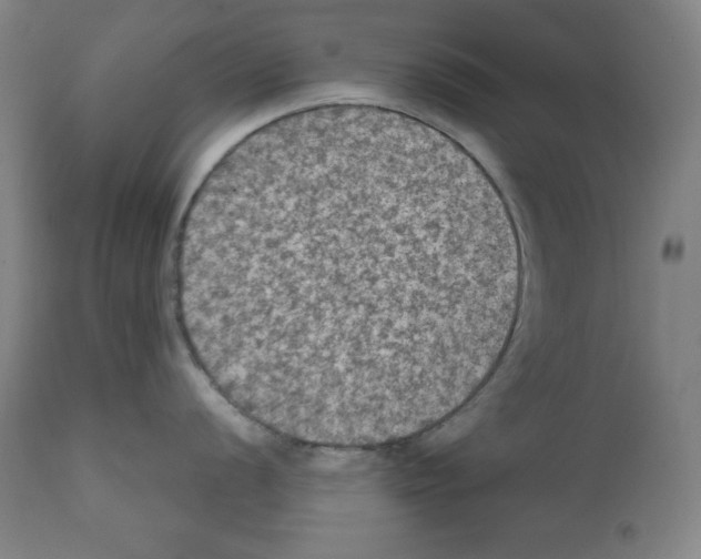 X0000112351056200909241057