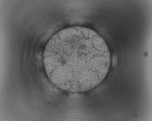 X0000112351059200909241056