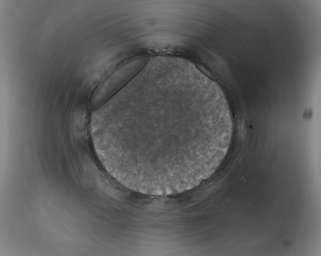 X0000112351060200909241056