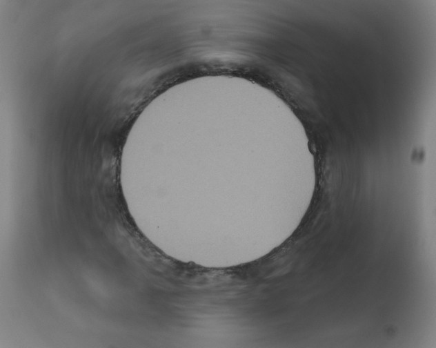 X0000112351061200909241056