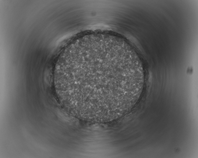 X0000112351063200909241056