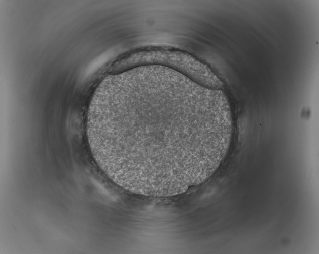 X0000112351064200909241056