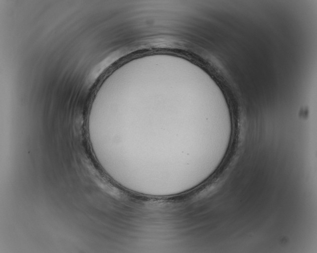 X0000112351065200909241056