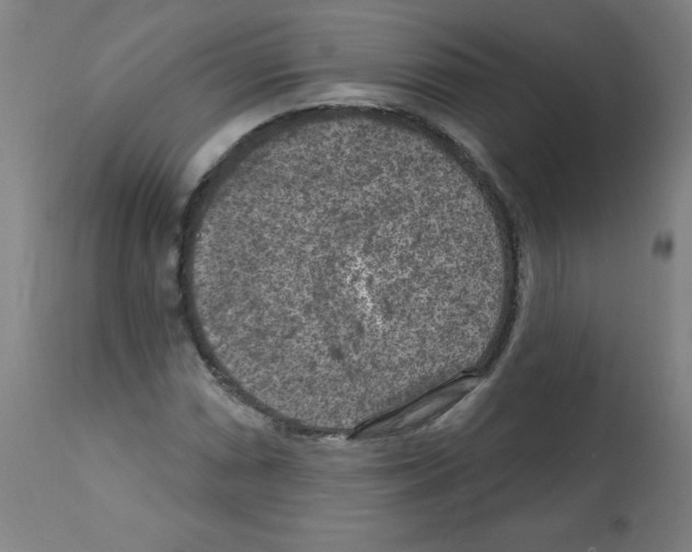 X0000112351066200909241056