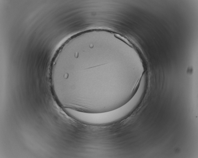 X0000112351068200909241056