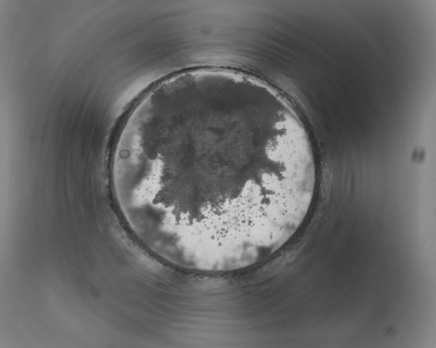 X0000112351071200909241056