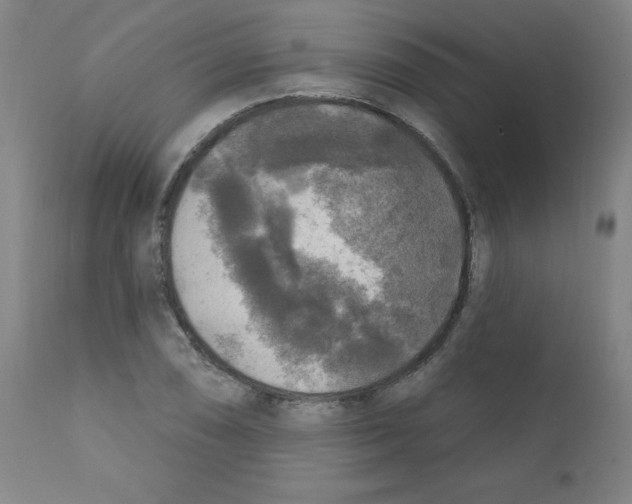 X0000112351074200909241056