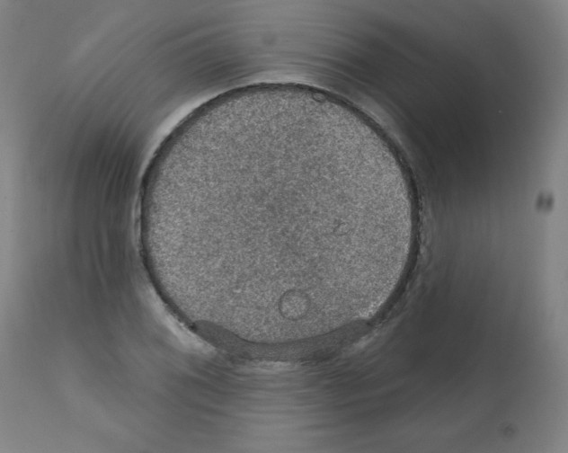 X0000112351076200909241056