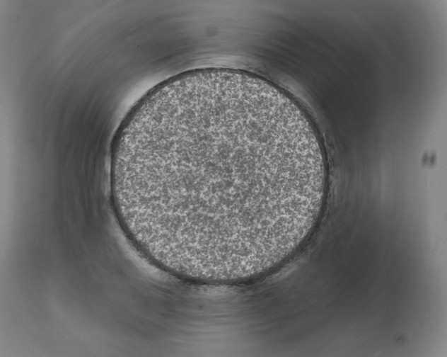 X0000112351079200909241056