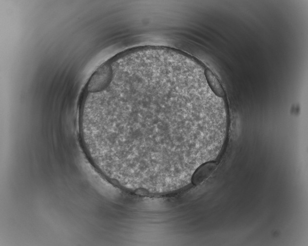 X0000112351080200909241056