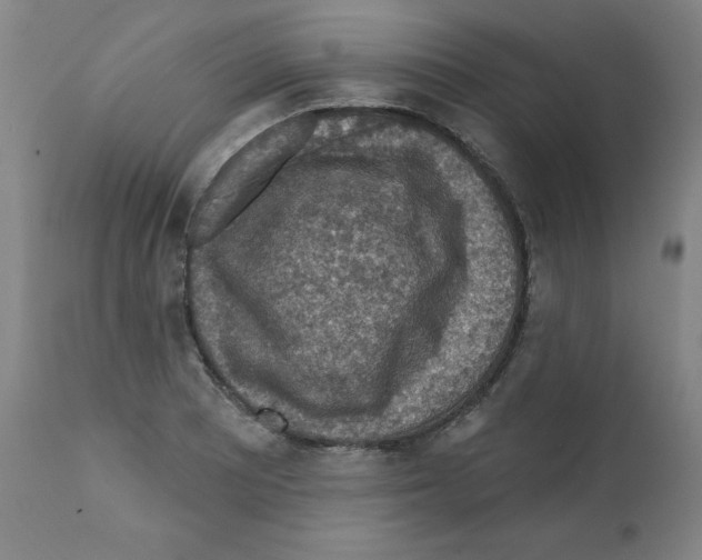 X0000112351081200909241056