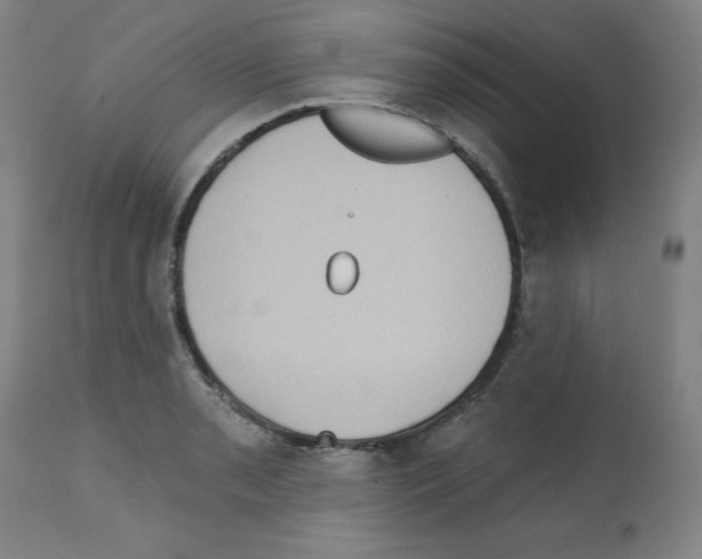 X0000112351085200909241056