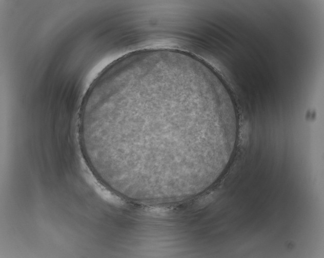 X0000112351086200909241056