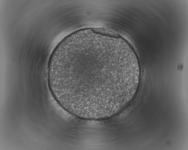 X0000112351088200909241056