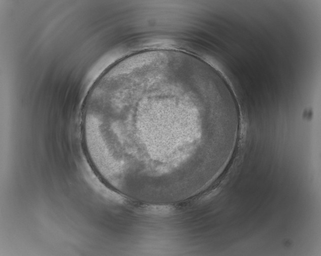 X0000112351090200909241056