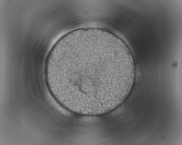 X0000112351091200909241056