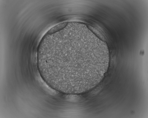 X0000112351092200909241056