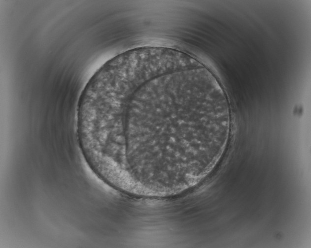 X0000112351095200909241056