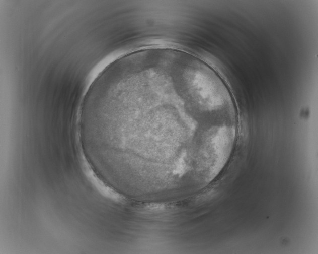 X0000112351098200909241056